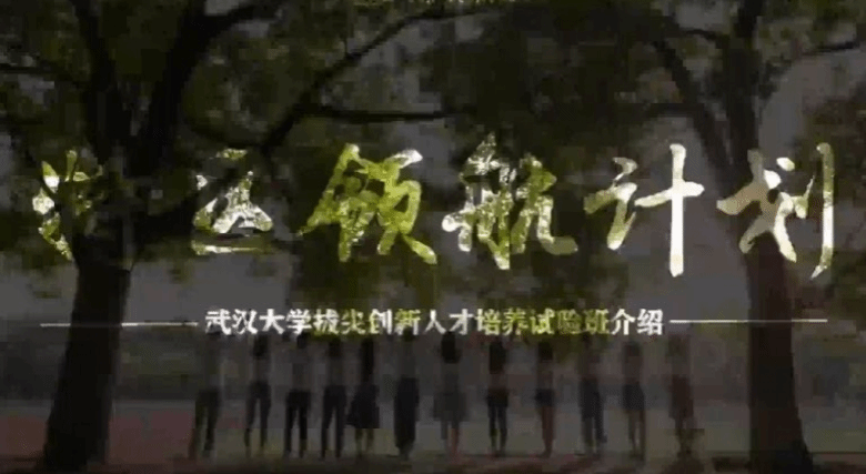 武汉大学经济与管理学院数智经济与管理本硕博试验班
